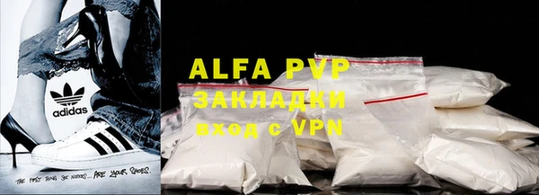 PSILOCYBIN Белокуриха