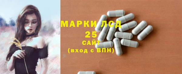 PSILOCYBIN Новокубанск