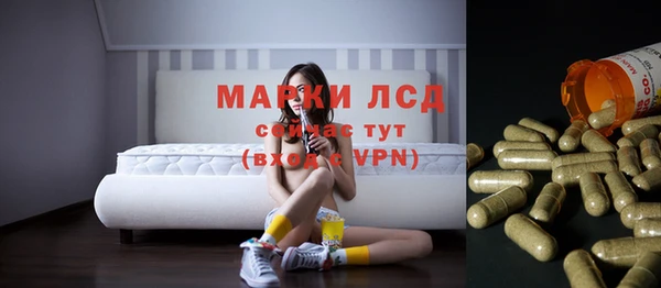 PSILOCYBIN Белокуриха