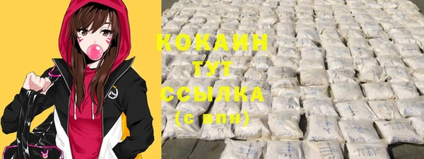 дживик Новозыбков