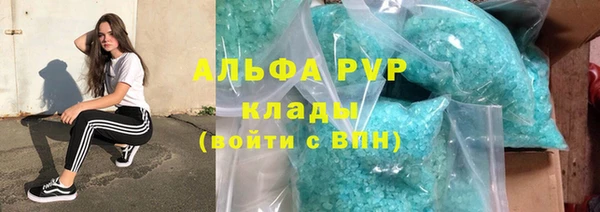PSILOCYBIN Белокуриха